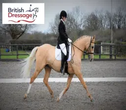 British Dressage includes FSM + Quest