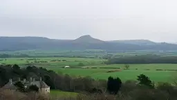 The Pine Forest 5k Trail 2026