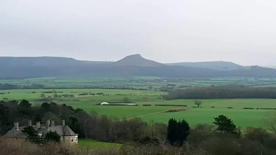 The Pine Forest 5k Trail 2026