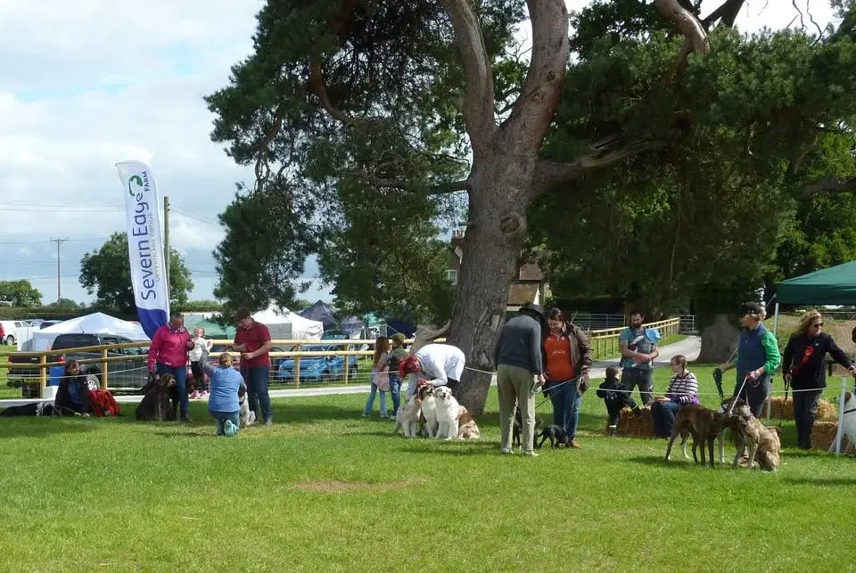 Ludlow Country Fair and Dog Shows 2026