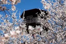 Slavnosti mandloní a vína 2026 na Starém vrchu