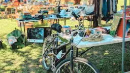 Huge Community Yard Sale at Bates Nut Farm