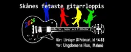 Gitarrloppis i Malmö