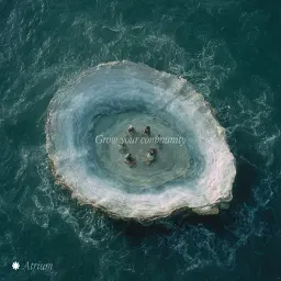 Atrium Fireside Chat - Grow Your Community