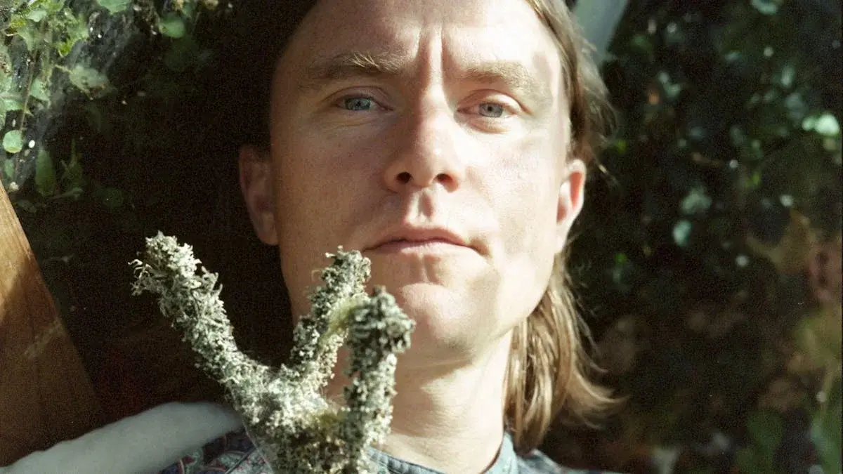 BISSE · FAMILIETUREN