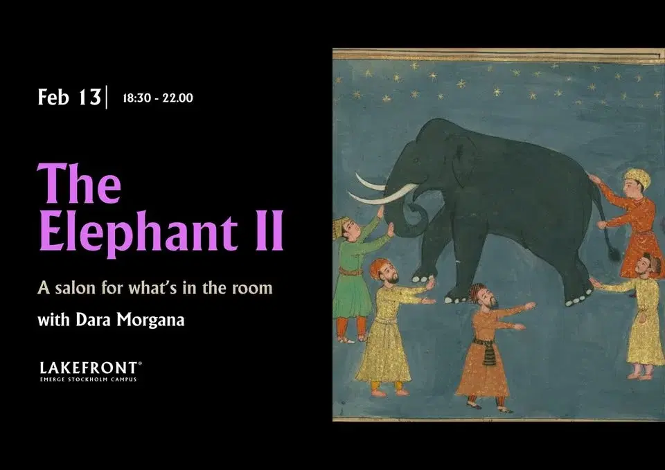 THE ELEPHANT II
