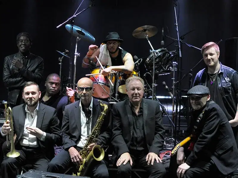 Rats in the kitchen Live Direct