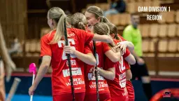 Div1 Region Dam: FBC Lerum - Malmhaug IBF