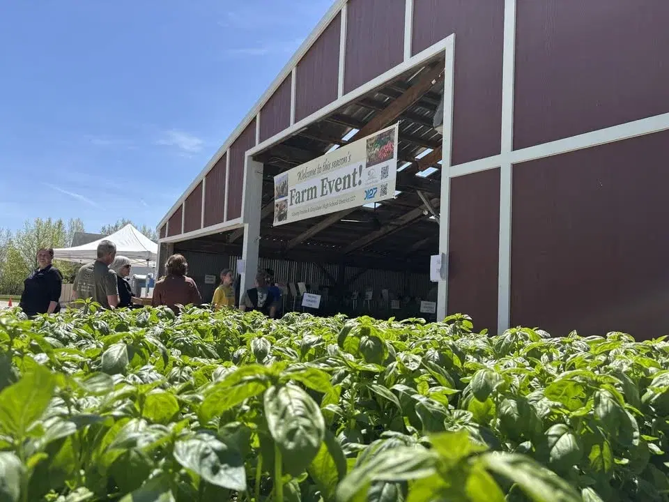 Spring Organic Plant Sale and Farm Festival