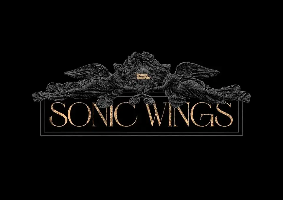 Sonic Wings Festival 2026