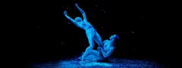 Pilobolus
