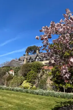 Birds, Buds and Blossoms