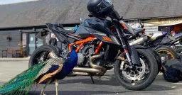 BIKE NIGHTS START AGAIN AT BLAKE HOUSE - 9 APRIL 2026 🏍️