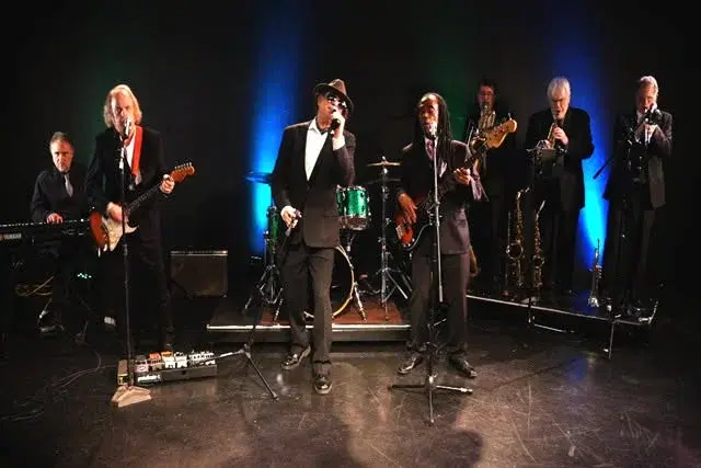 Wild Night - Van Morrison Tribute
