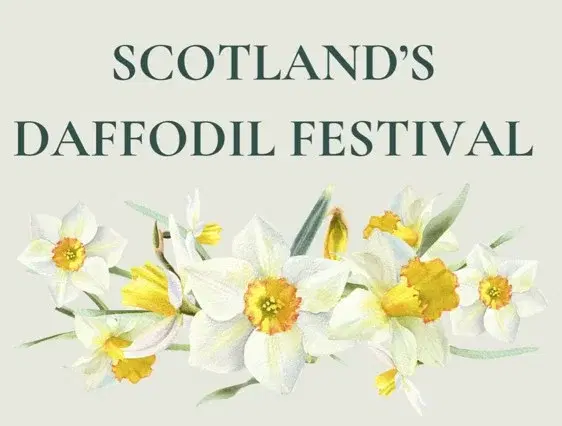 Scotland's Daffodil Festival 2026