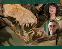 Exklusiva visningar av utställningen Fossil evolution