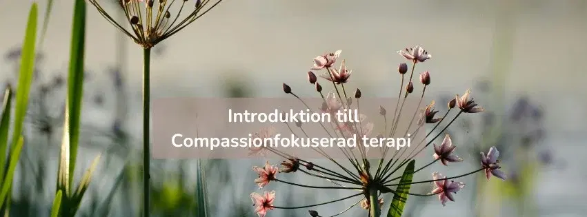 Introduktion till Compassionfokuserad terapi - en tredagarsutbildning för behandlare