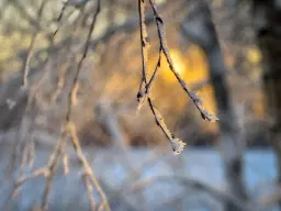 🌿 Retreatdag i stillhet och förtröstan 🌿