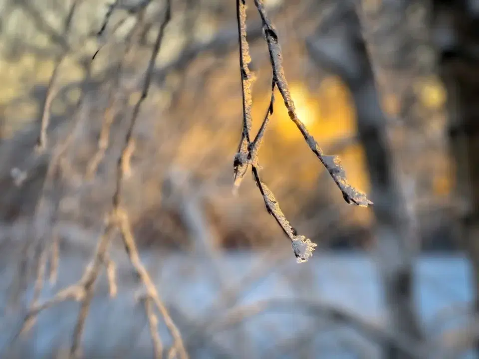 đż Retreatdag i stillhet och förtröstan đż