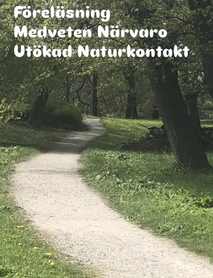 Medveten närvaro, utökad naturkontakt