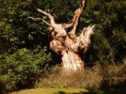 Spring Walk at Blackthorpe Barn