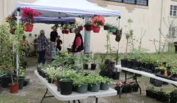 2nd Annual Waldo Plant Festival