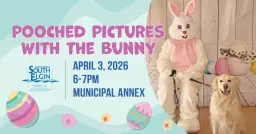 Pooched Pictures with the Bunny