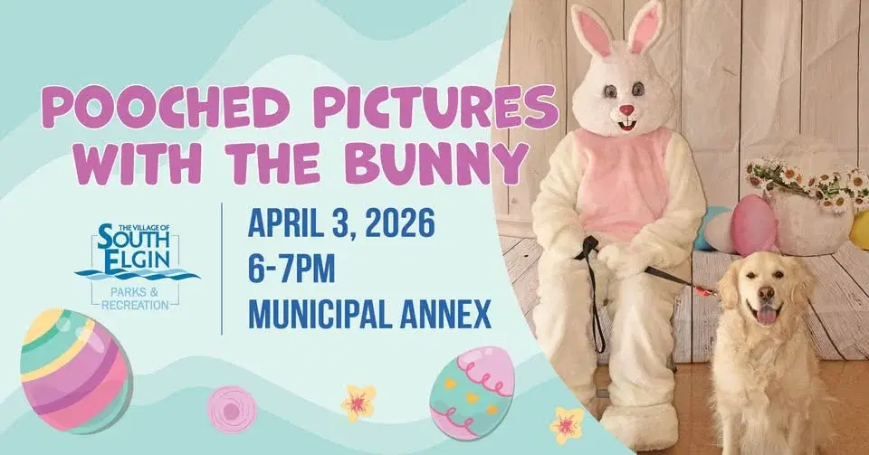 Pooched Pictures with the Bunny