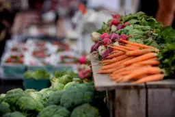 Celina Friday Night Market - September