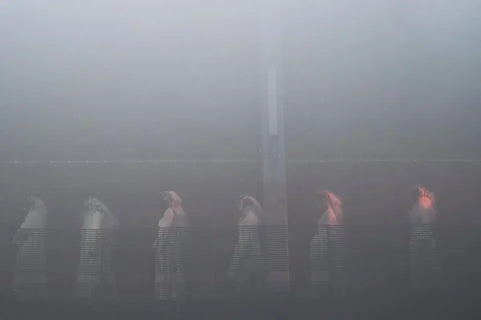 Svensk Musikvår: Minnets mosaik & Tusen Tungor