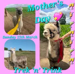 Mother's Day Trek 'n' Trink