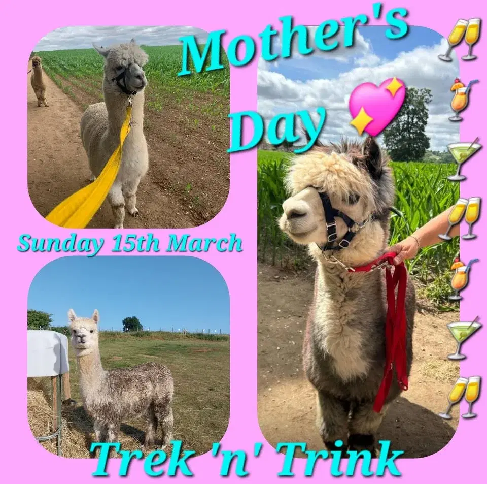 Mother's Day Trek 'n' Trink