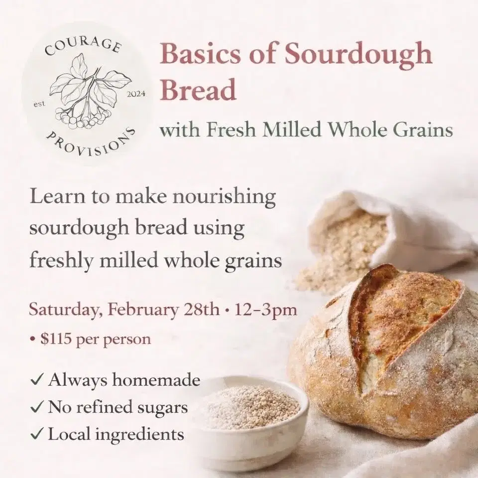 đâš Basics of Sourdough Bread with Fresh Milled Whole Grains âšđ