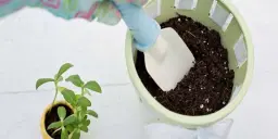 Odlingslördag för stora och små