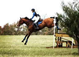 Foundation to Flying with Julie Chapman - open to all