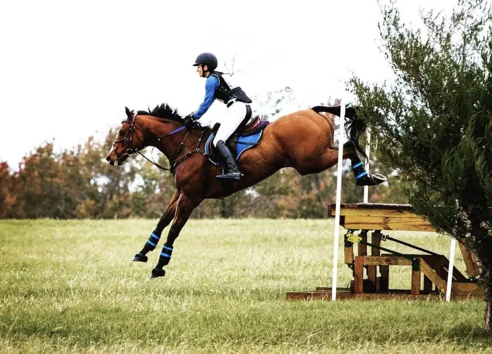 Foundation to Flying with Julie Chapman - open to all