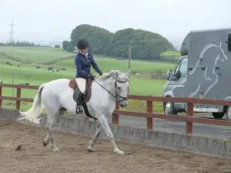 Dressage Series 1 - April 2026