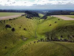 Larmer Tree 8th March 2026