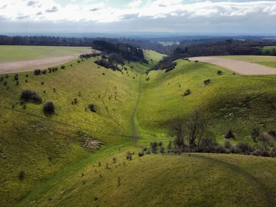 Larmer Tree 8th March 2026