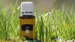 Dive into the fragrance of essential oils