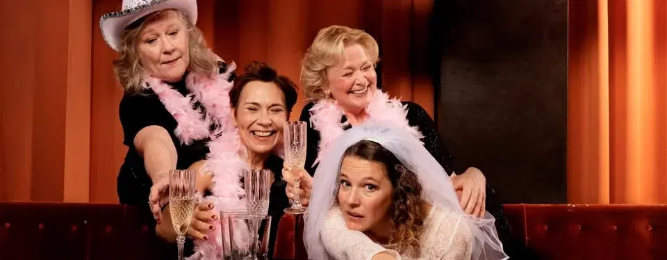 Tills stjärnorna faller ner – Sverigepremiär