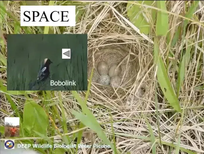 WLT Annual Meeting: "Enhancing Native Meadows for Wildlife"