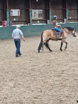 AY Horsemanship Clinic - Ledston EC