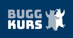 Avancerad kurs i bugg