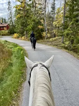 Årsmöte med mingel och spännande föreläsning av Ulf Johansson!