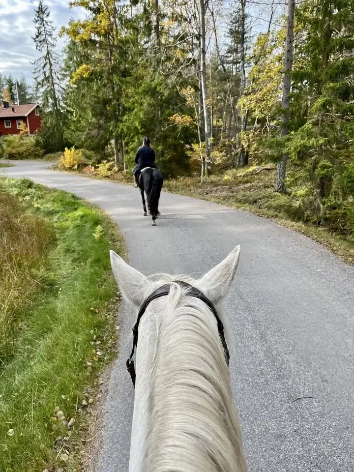 Årsmöte med mingel och spännande föreläsning av Ulf Johansson!