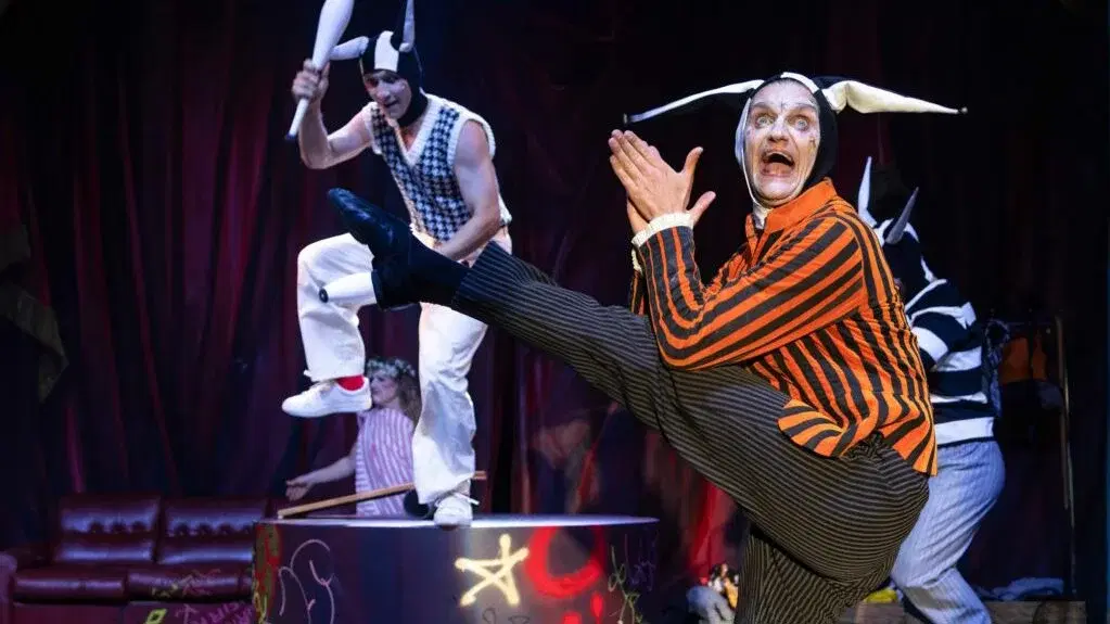 Cirkus Cirkör The Extraordinary History of Circus