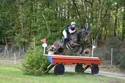 TWESELDOWN XC CLINIC