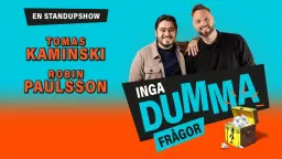 Inga dumma frågor // Kulturkvarteret
