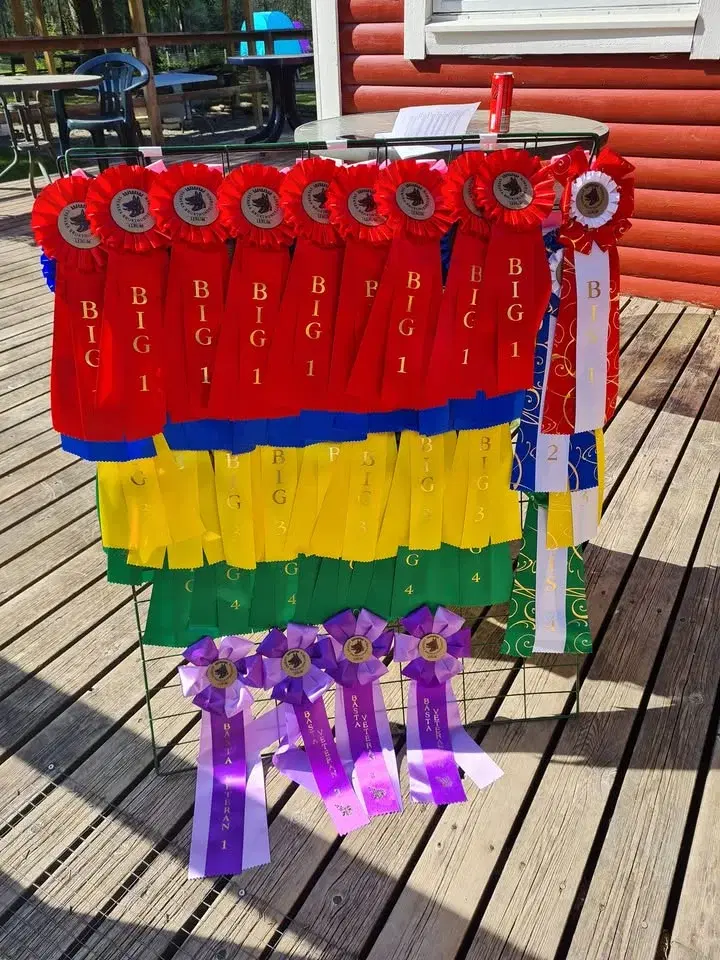 Inofficiell utställning på Lerums BK 2026